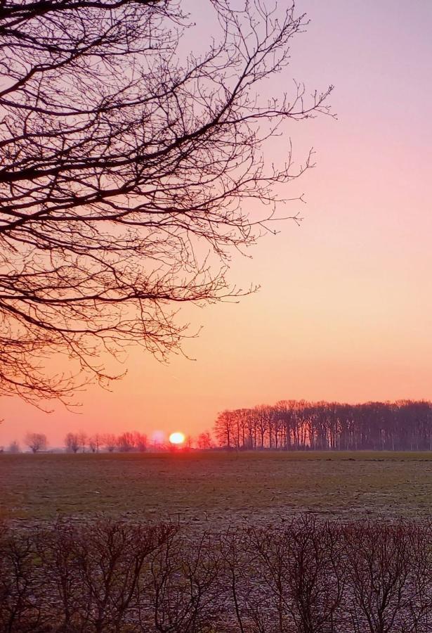 Vakantiewoning Victors Hof Tot 4 Pers Lievegem 外观 照片