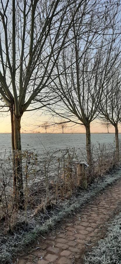 Vakantiewoning Victors Hof Tot 4 Pers Lievegem 外观 照片