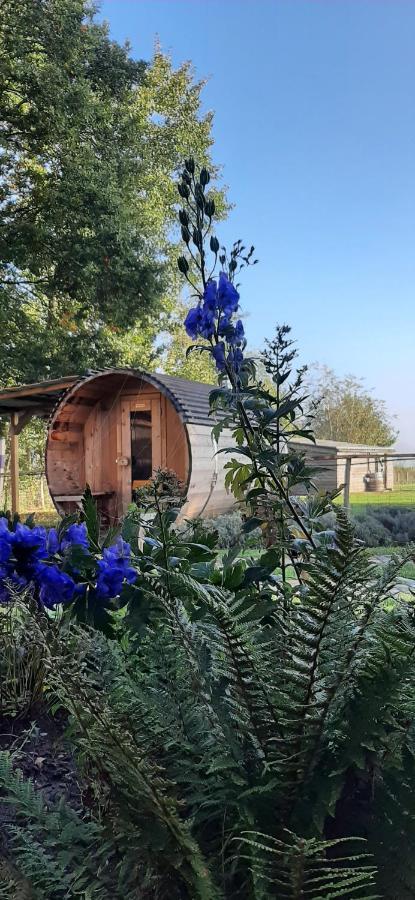 Vakantiewoning Victors Hof Tot 4 Pers Lievegem 外观 照片