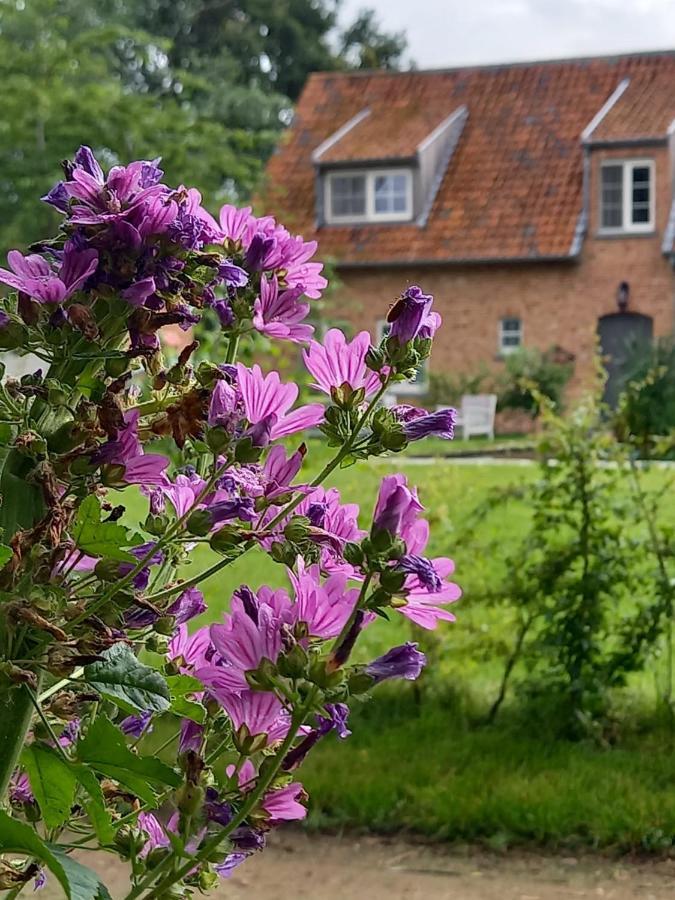 Vakantiewoning Victors Hof Tot 4 Pers Lievegem 外观 照片